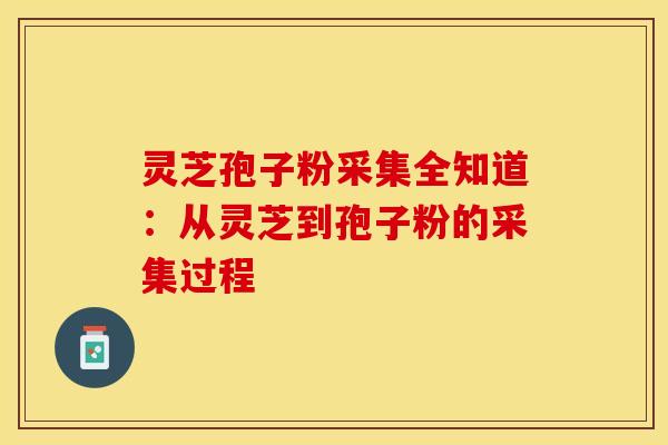 灵芝孢子粉采集全知道：从灵芝到孢子粉的采集过程