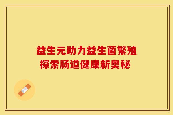 益生元助力益生菌繁殖 探索肠道健康新奥秘