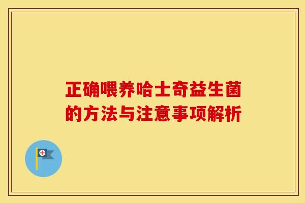 正确喂养哈士奇益生菌的方法与注意事项解析