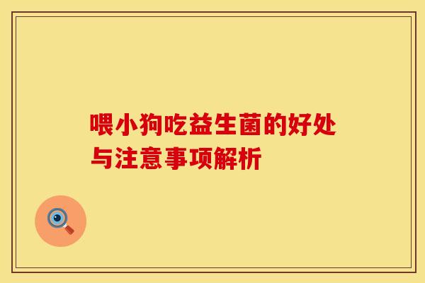 喂小狗吃益生菌的好处与注意事项解析