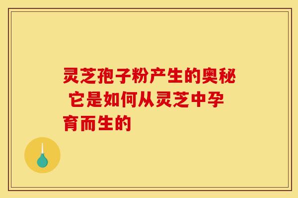 灵芝孢子粉产生的奥秘 它是如何从灵芝中孕育而生的 灵芝孢子粉产生的奥秘 它是如何从灵芝中孕育而生的