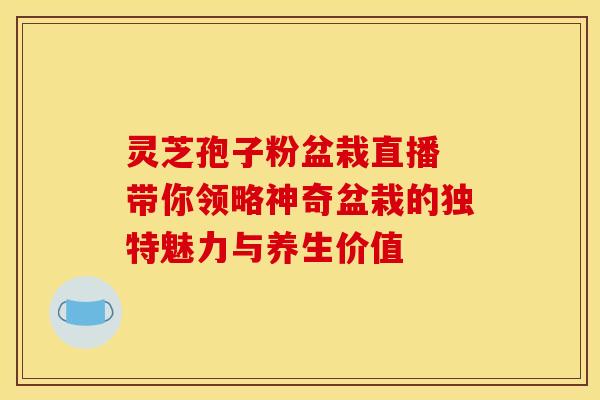 灵芝孢子粉盆栽直播 带你领略神奇盆栽的独特魅力与养生价值