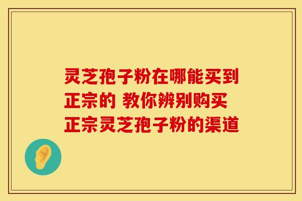灵芝孢子粉在哪能买到正宗的 教你辨别购买正宗灵芝孢子粉的渠道