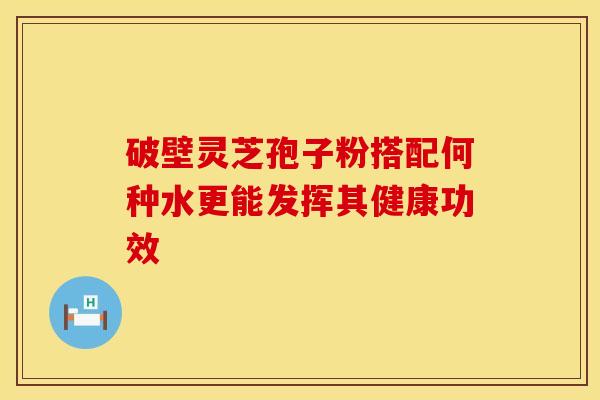 破壁灵芝孢子粉搭配何种水更能发挥其健康功效