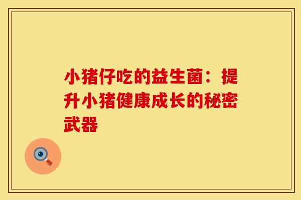 小猪仔吃的益生菌：提升小猪健康成长的秘密武器
