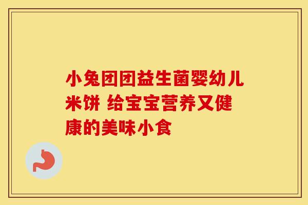 小兔团团益生菌婴幼儿米饼 给宝宝营养又健康的美味小食