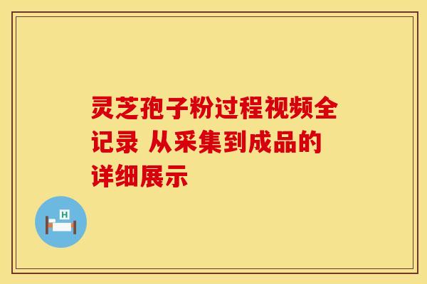 灵芝孢子粉过程视频全记录 从采集到成品的详细展示