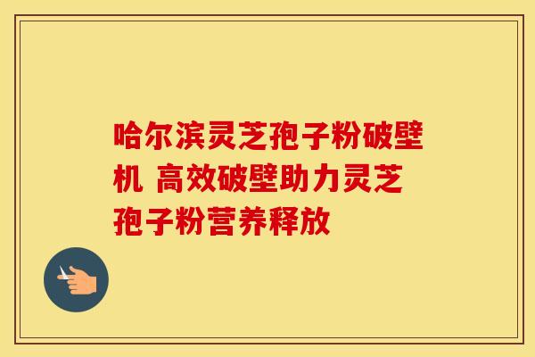 哈尔滨灵芝孢子粉破壁机 高效破壁助力灵芝孢子粉营养释放