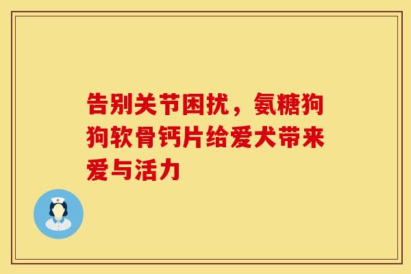 告别关节困扰，氨糖狗狗软骨钙片给爱犬带来爱与活力