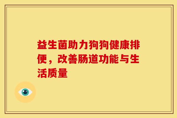 益生菌助力狗狗健康排便，改善肠道功能与生活质量