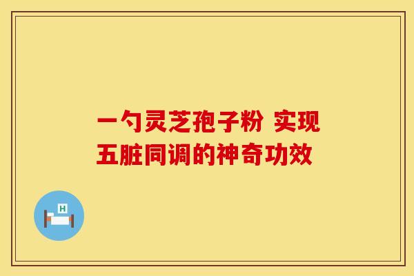 一勺灵芝孢子粉 实现五脏同调的神奇功效