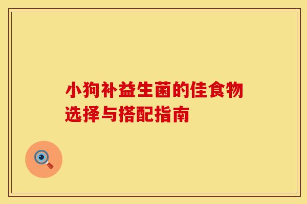 小狗补益生菌的佳食物选择与搭配指南