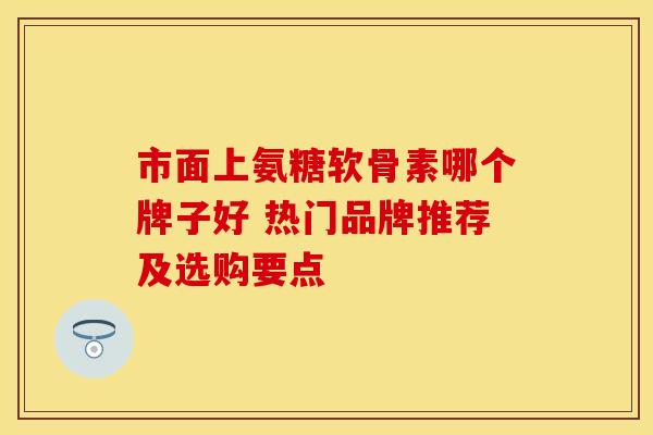 市面上氨糖软骨素哪个牌子好 热门品牌推荐及选购要点