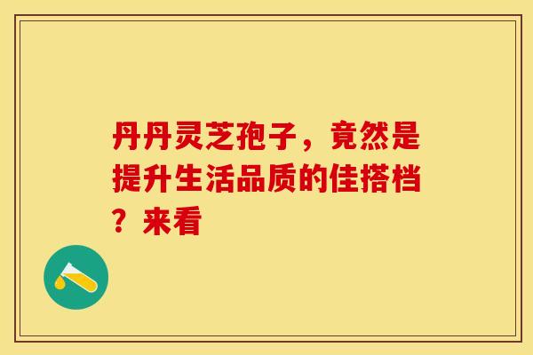 丹丹灵芝孢子，竟然是提升生活品质的佳搭档？来看