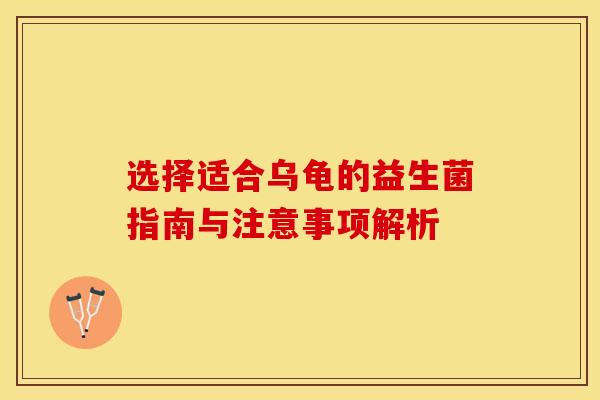 选择适合乌龟的益生菌指南与注意事项解析
