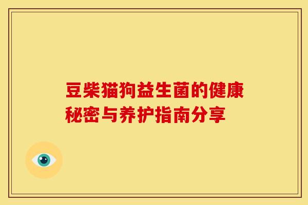 豆柴猫狗益生菌的健康秘密与养护指南分享
