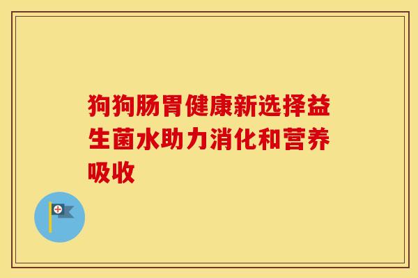 狗狗肠胃健康新选择益生菌水助力消化和营养吸收