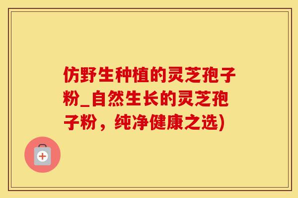 仿野生种植的灵芝孢子粉_自然生长的灵芝孢子粉，纯净健康之选)