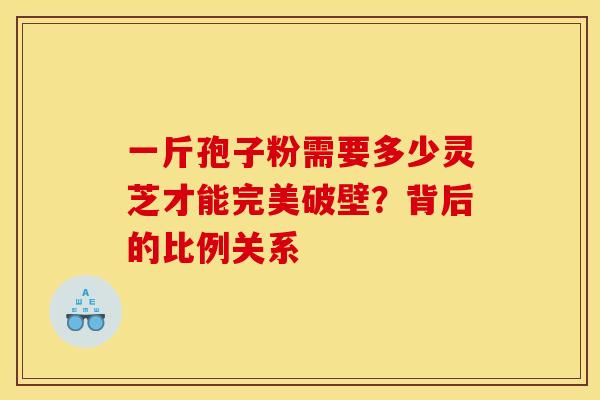 一斤孢子粉需要多少灵芝才能完美破壁？背后的比例关系