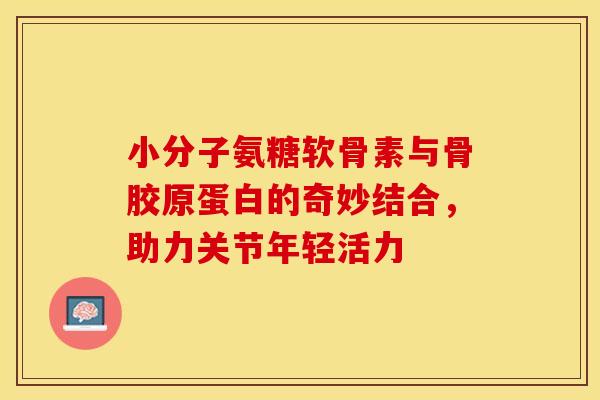 小分子氨糖软骨素与骨胶原蛋白的奇妙结合，助力关节年轻活力