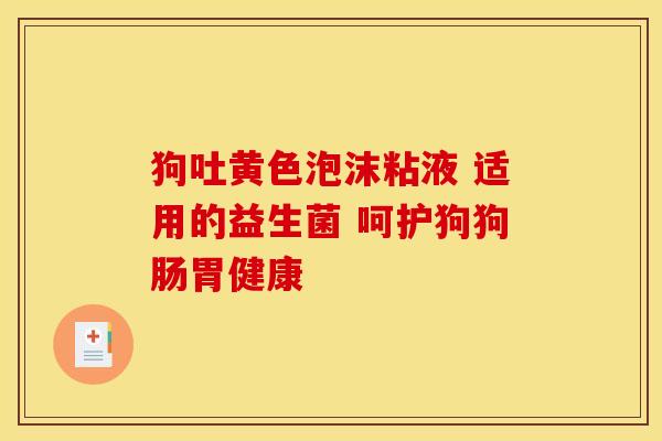 狗吐黄色泡沫粘液 适用的益生菌 呵护狗狗肠胃健康