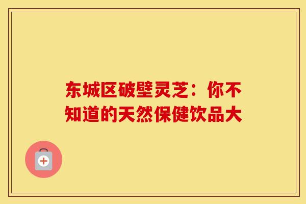 东城区破壁灵芝：你不知道的天然保健饮品大