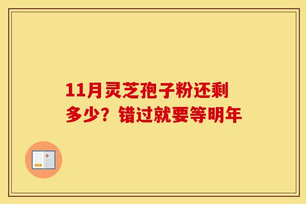11月灵芝孢子粉还剩多少？错过就要等明年