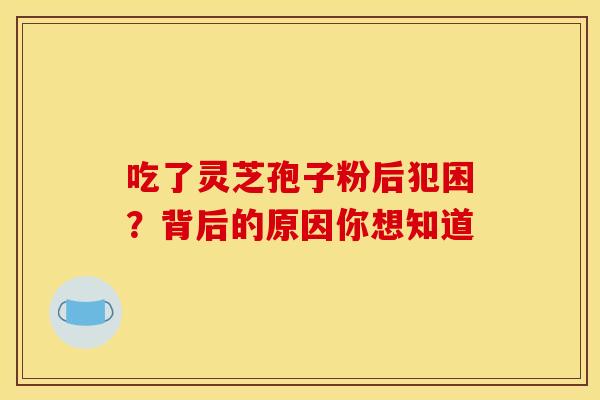 吃了灵芝孢子粉后犯困？背后的原因你想知道