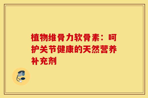 植物维骨力软骨素:呵护关节健康的天然营养补充剂 植物维骨力软骨素:呵护关节健康的天然营养补充剂