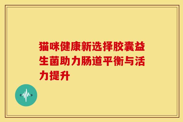 猫咪健康新选择胶囊益生菌助力肠道平衡与活力提升 猫咪健康新选择胶囊益生菌助力肠道平衡与活力提升