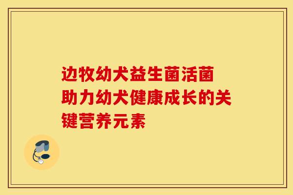 边牧幼犬益生菌活菌 助力幼犬健康成长的关键营养元素 边牧幼犬益生菌活菌 助力幼犬健康成长的关键营养元素