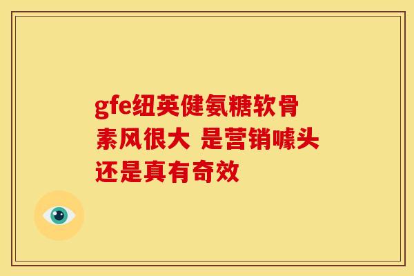 gfe纽英健氨糖软骨素风很大 是营销噱头还是真有奇效