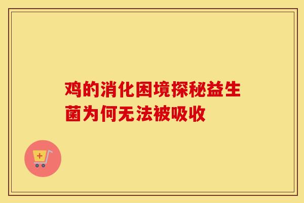 鸡的消化困境探秘益生菌为何无法被吸收