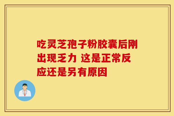 吃灵芝孢子粉胶囊后刚出现乏力 这是正常反应还是另有原因