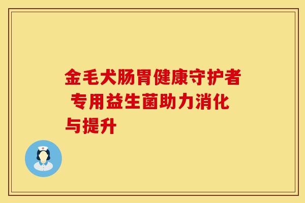 金毛犬肠胃健康守护者 专用益生菌助力消化与提升