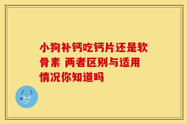 小狗补钙吃钙片还是软骨素 两者区别与适用情况你知道吗