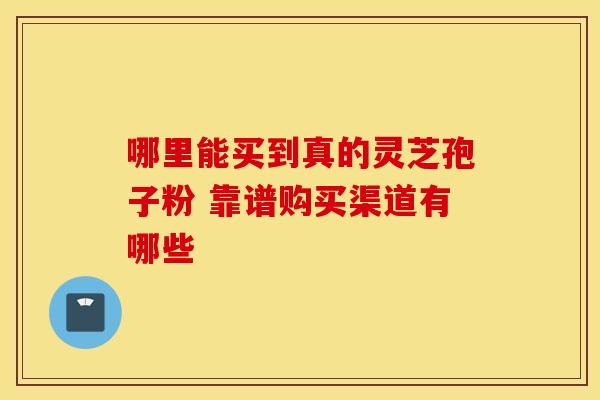 哪里能买到真的灵芝孢子粉 靠谱购买渠道有哪些