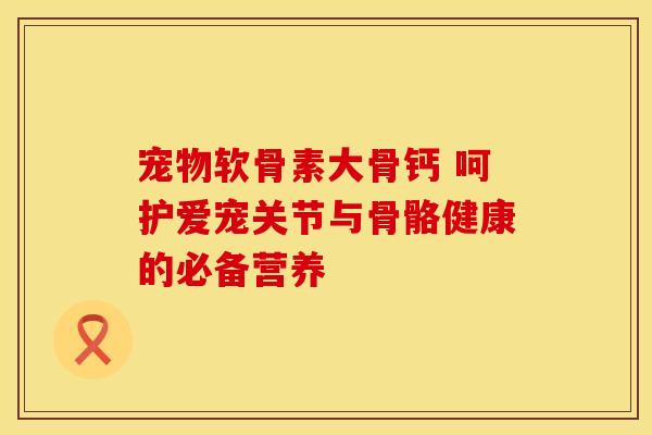 宠物软骨素大骨钙 呵护爱宠关节与骨骼健康的必备营养