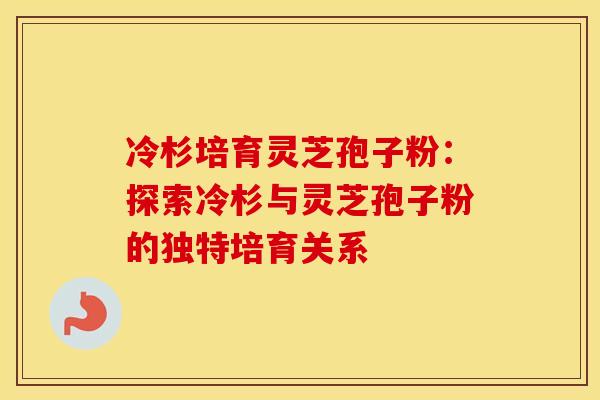 冷杉培育灵芝孢子粉：探索冷杉与灵芝孢子粉的独特培育关系