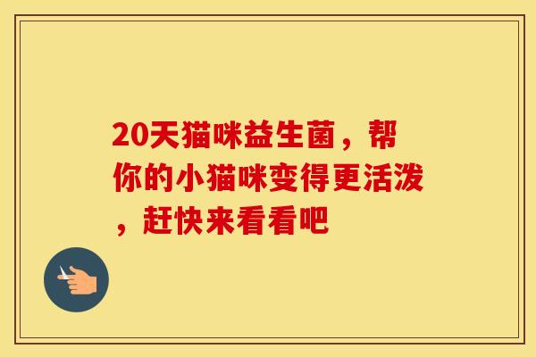 20天猫咪益生菌，帮你的小猫咪变得更活泼，赶快来看看吧
