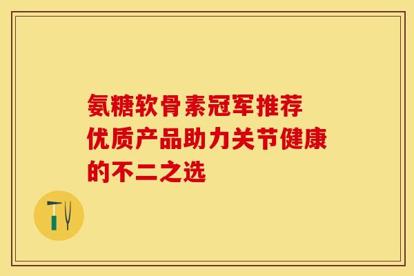 氨糖软骨素冠军推荐 优质产品助力关节健康的不二之选