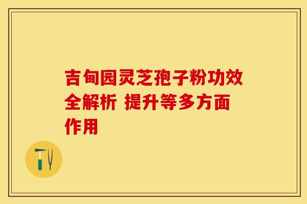 吉甸园灵芝孢子粉功效全解析 提升等多方面作用
