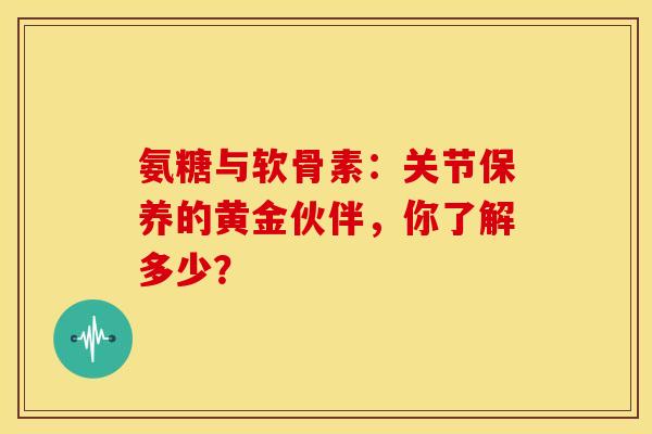 氨糖与软骨素：关节保养的黄金伙伴，你了解多少？