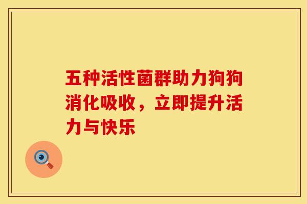 五种活性菌群助力狗狗消化吸收，立即提升活力与快乐