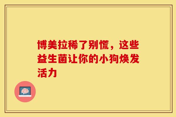 博美拉稀了别慌，这些益生菌让你的小狗焕发活力