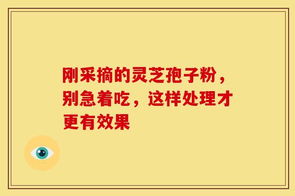刚采摘的灵芝孢子粉，别急着吃，这样处理才更有效果