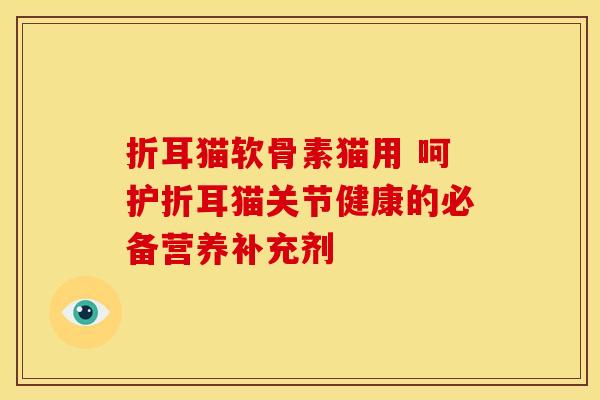 折耳猫软骨素猫用 呵护折耳猫关节健康的必备营养补充剂 折耳猫软骨素猫用 呵护折耳猫关节健康的必备营养补充剂