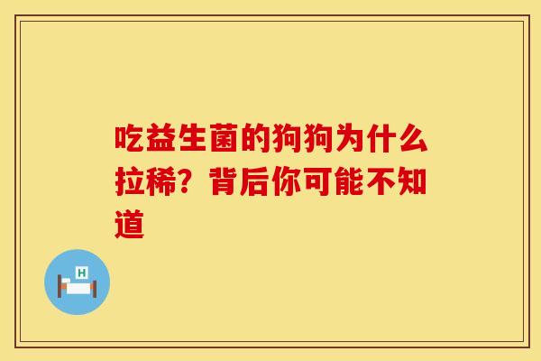 吃益生菌的狗狗为什么拉稀？背后你可能不知道
