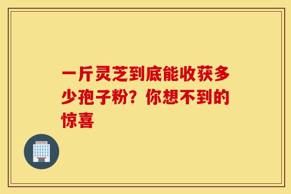 一斤灵芝到底能收获多少孢子粉？你想不到的惊喜
