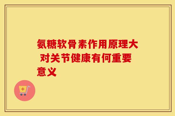 氨糖软骨素作用原理大 对关节健康有何重要意义